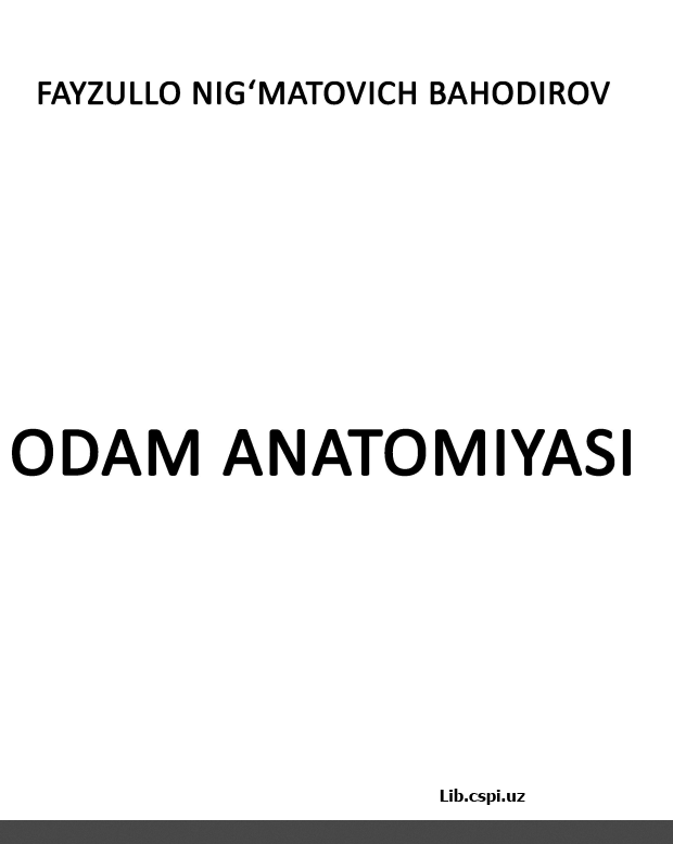 Odam anatomiyasi.