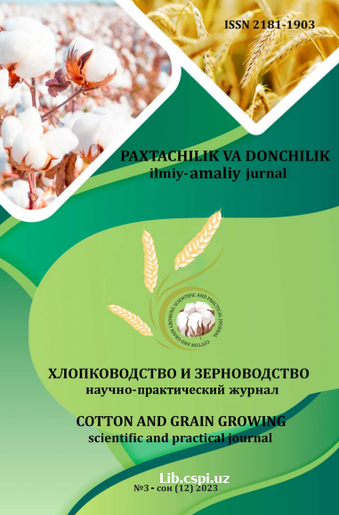G'o'zaning introgressiv tizimlarida qimmatli xo'jalik belgilarining shakllanishi