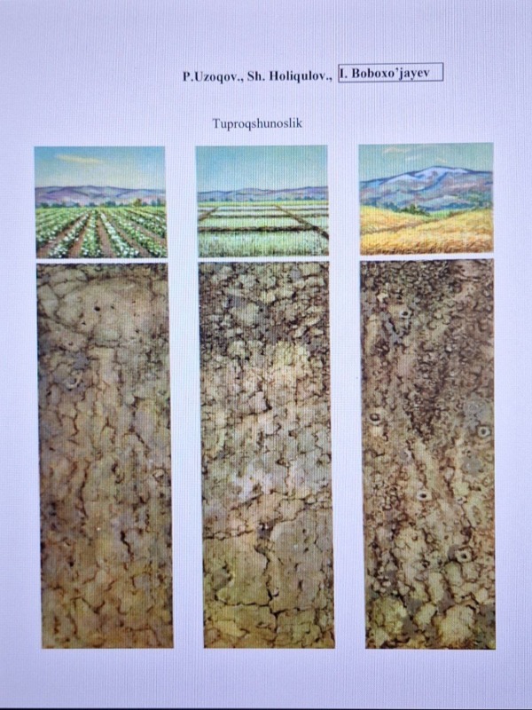 Tuproqshunoslik