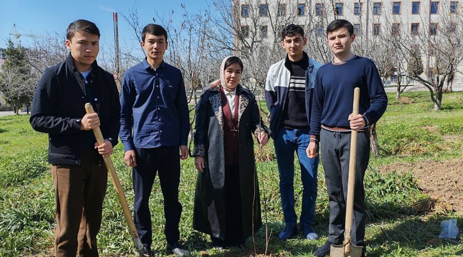 Yangi daraxt — yangi nafas!