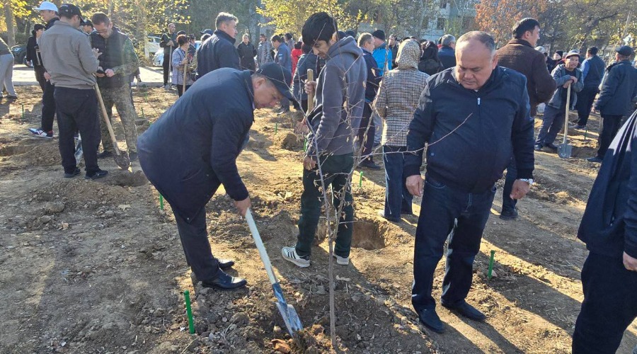 Chirchiqda “Yashil makon” umummilliy loyihasiga start berildi!