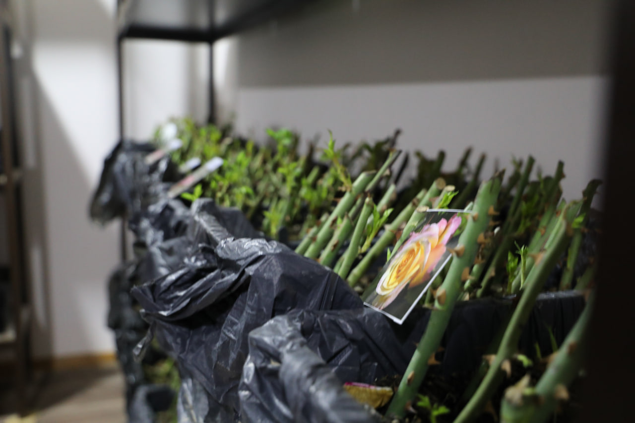 Talabalar shaharchasidagi iqtisodiy mexanizm: yangicha yondashuvlar, o‘zgarishlar va islohotlar Gallery Image