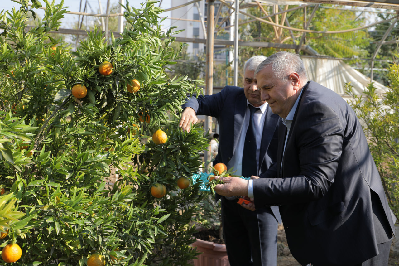 Kasbga yo‘naltirilgan ta’lim muhitida kelajak o‘qituvchilarini tayyorlash tajribasi va istiqbollari muhokama qilindi Gallery Image
