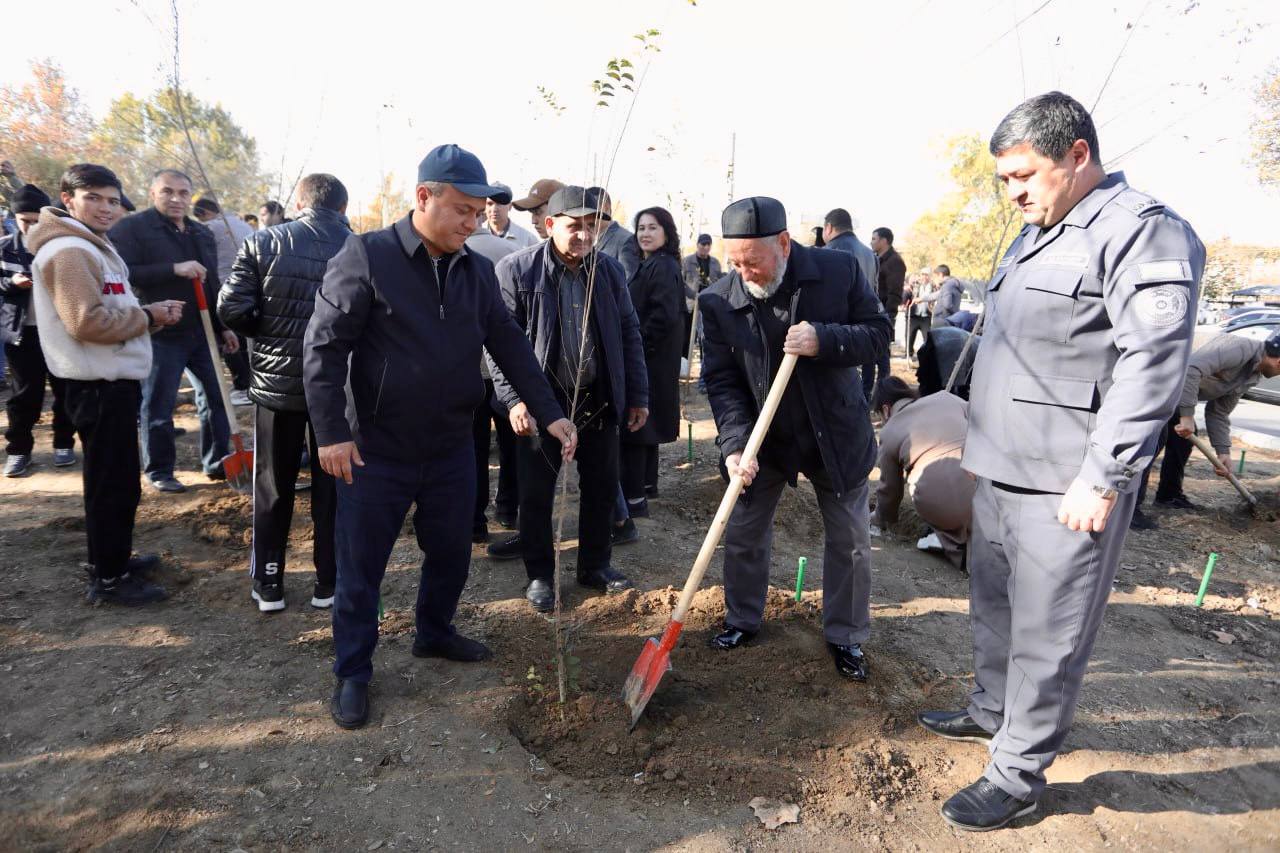 Bir ko‘chat – bir hayot! Yashil makon loyihasi davom etmoqda Gallery Image