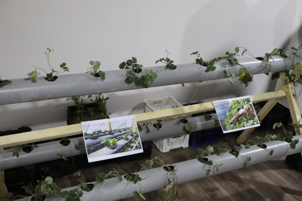 Talabalar shaharchasidagi iqtisodiy mexanizm: yangicha yondashuvlar, o‘zgarishlar va islohotlar Gallery Image