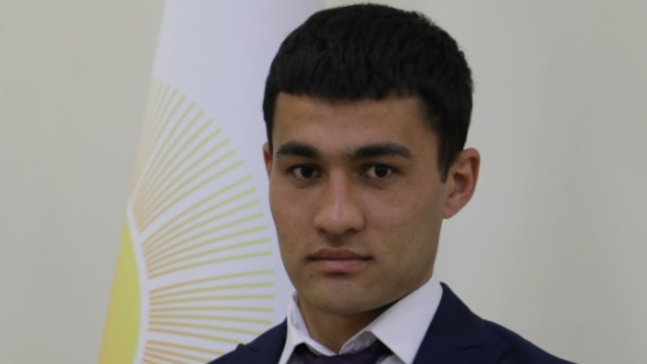 Трудовая деятельность